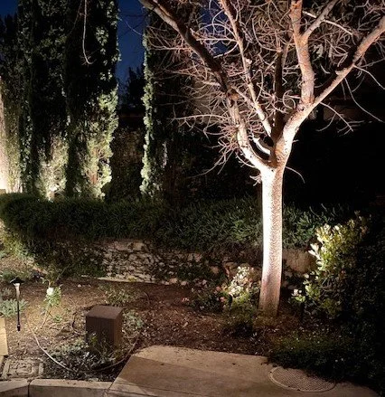 Outdoor Accent Lighting